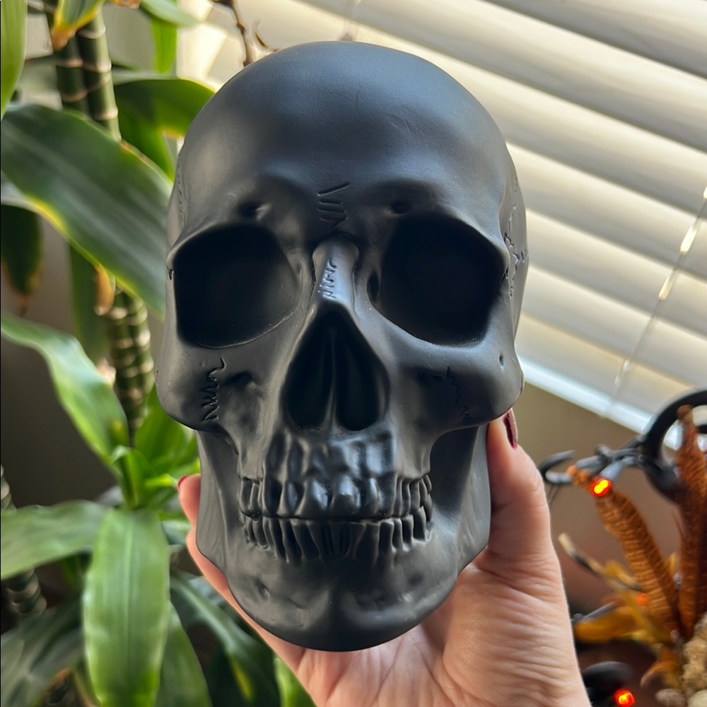 Black Skull Decorative Diffuser 💀